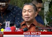 Anis Matta Jadi Wakil Menteri Luar Negeri Fokus pada Dunia Islam