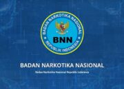 Daftar 10 Brigjen Pol yang Mendapat Penugasan pada BNN September 2024