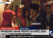 Di APEC CEO Summit, Prabowo Tegaskan Bakal Lindungi Semua Investasi