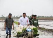 Dinobatkan sebagai Bapak Petani Milenial, Wamentan Yakin Sektor Pertanian Menjanjikan