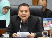 Komisi V DPR Minta Pemerintah Berani Turunkan Tiket Pesawat