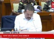 Ramai-ramai Anggota DPR Cecar Jaksa Agung soal Kasus Tom Lembong