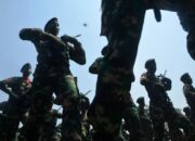 TNI Harus Lakukan Pembinaan dan Penyelidikan