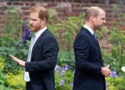 6 Kesamaan Pangeran William dan Harry meski Perang Dingin, Suka Hobi Menantang