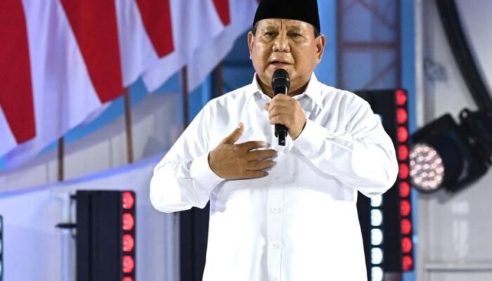 Perlu Political Will Prabowo untuk Menunda PPN 12%