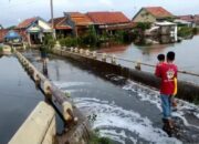 Banjir Rob Terjang Pesisir hingga 7 Februari 2025, Ini Daftar Wilayah Terdampak