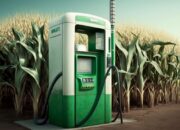 Bioethanol Masuk PSN, Pemerintah Didorong Intervensi Bahan Baku