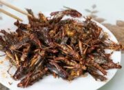 Dadan Hindayana Ditertawakan Warga Gunungkidul, Harga 15 Ekor Belalang Rp35.000