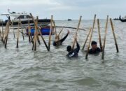 Nusron Wahid Akui Pagar Laut Bekasi Ulah Pegawai ATR/BPN