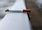 Setiap Batang Rokok Memperpendek Hidup hingga 20 Menit