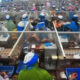 Regulasi Ketat Industri Rokok Picu Kekhawatiran