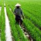Anggota DPR Persoalkan Kesejahteraan Petani dan Nelayan Tak Masuk Sasaran Pembangunan